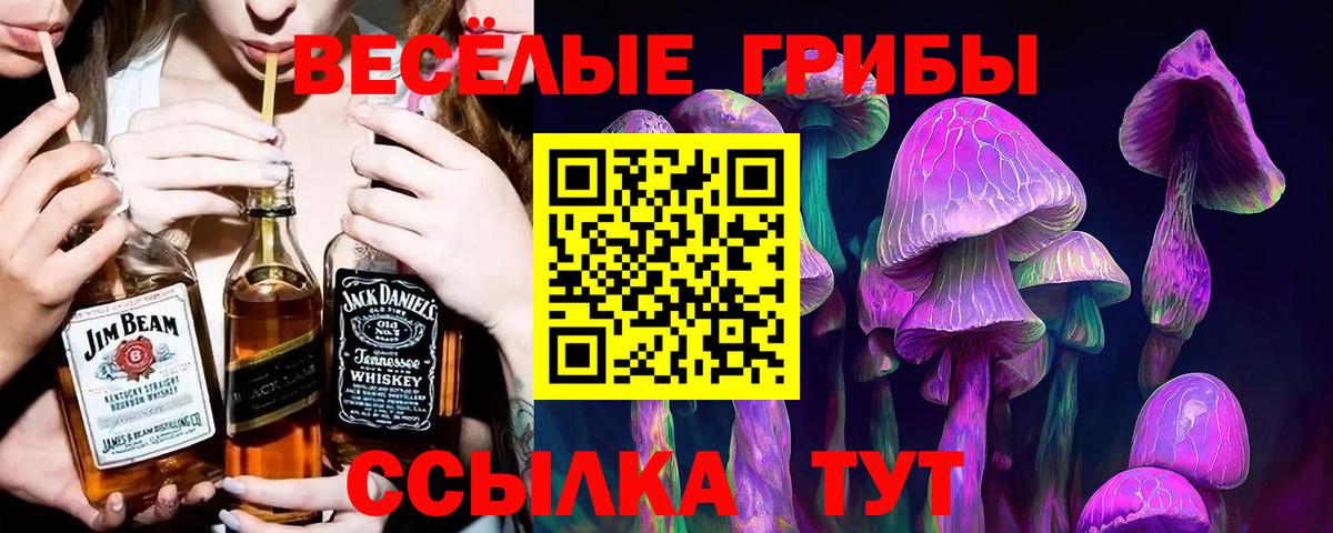 наркотики  Псилоцибиновые грибы мицелий  Вход с VPN  Владивосток 